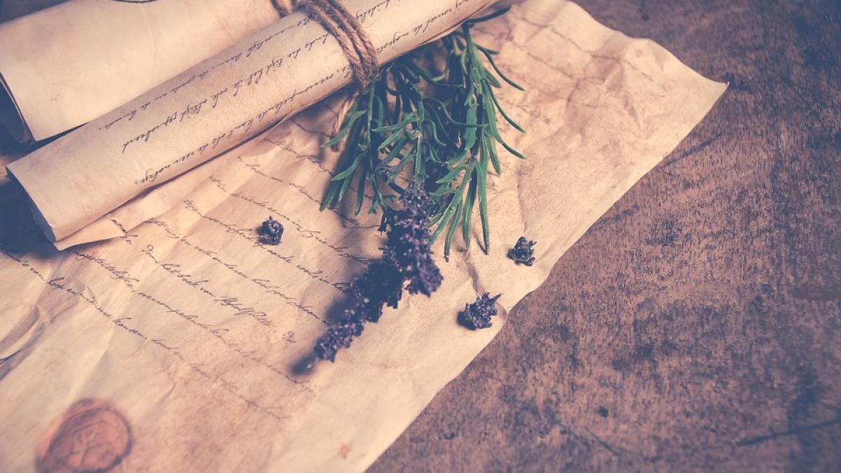 a gasit un portofel pe strada si l a deschis in interior se afla o scrisoare cand a citit o a ramas