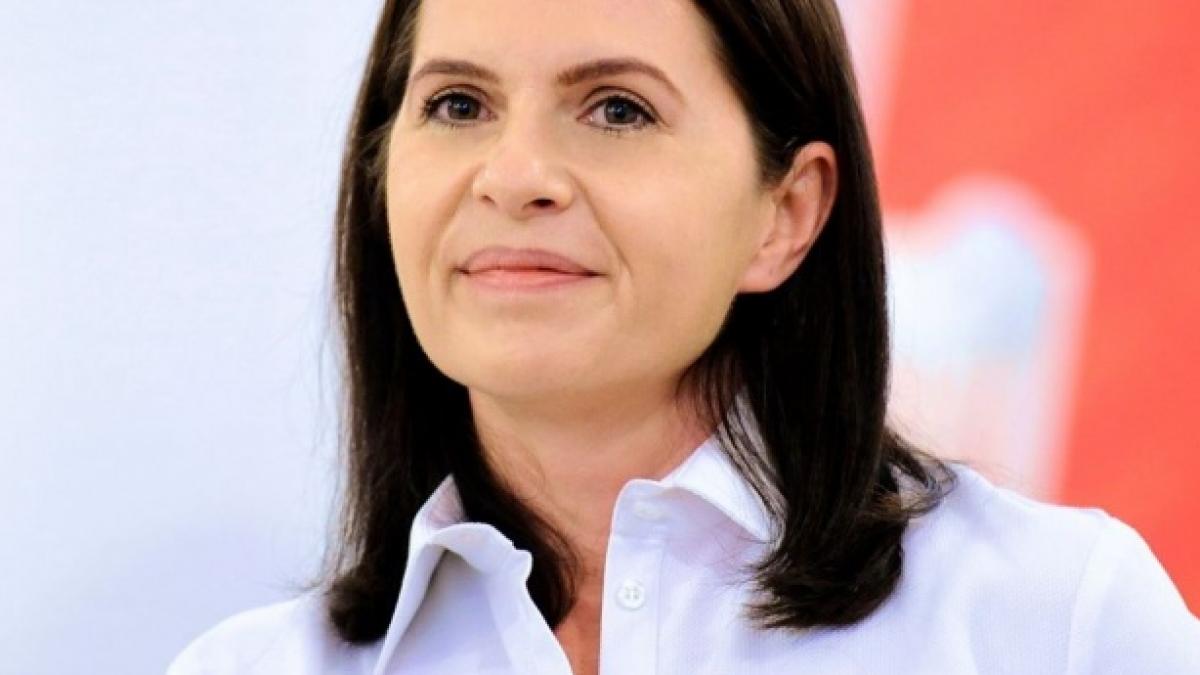 adriana saftoiu despre audierea la diicot