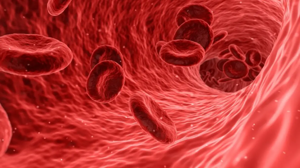 alimentul consumat zilnic de romani care raspandeste cancerul in tot corpul renunta imediat la el