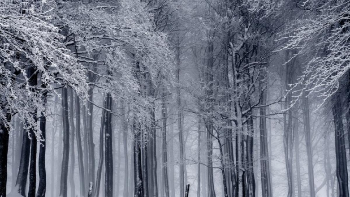 avertizare meteo cod galben de fenomene periculoase in 15 judete