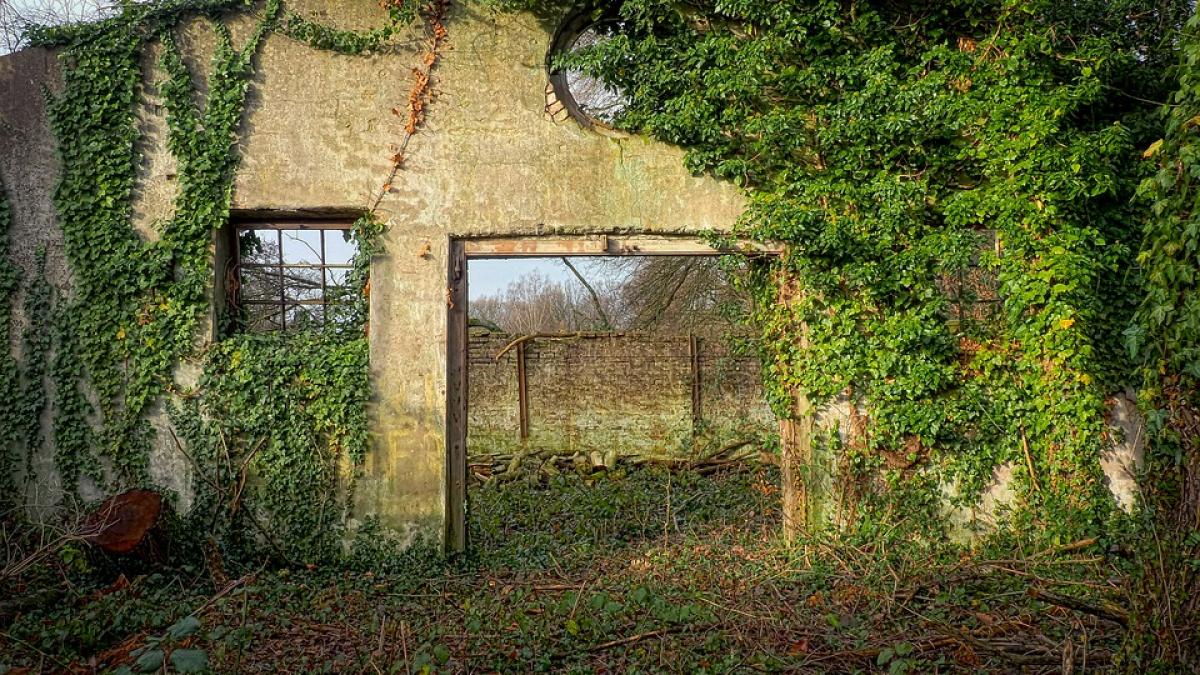 terenurile lasate in paragina ar putea fi impozitate suplimentar