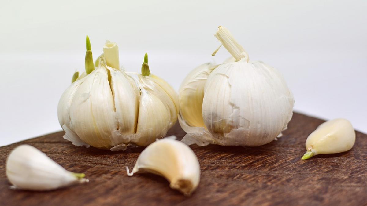 cum prepari siropul de usturoi se spune ca are efecte senzationale asupra sanatatii