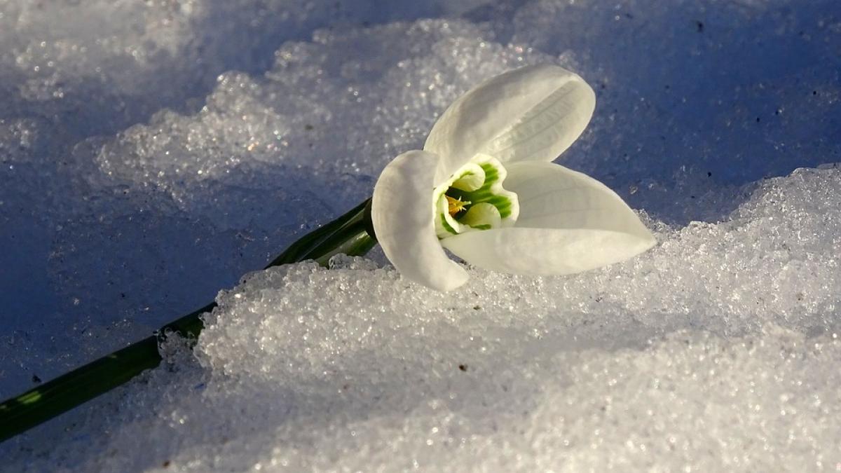 prognoza meteo vreme mult mai calda decat in mod obisnuit de cand revin ploile si ninsorile