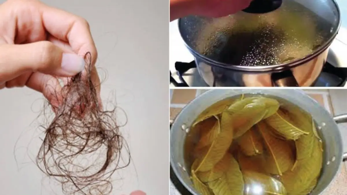trucul care opreste caderea parului ba mai mult va creste mai frumos si mai des ca niciodata