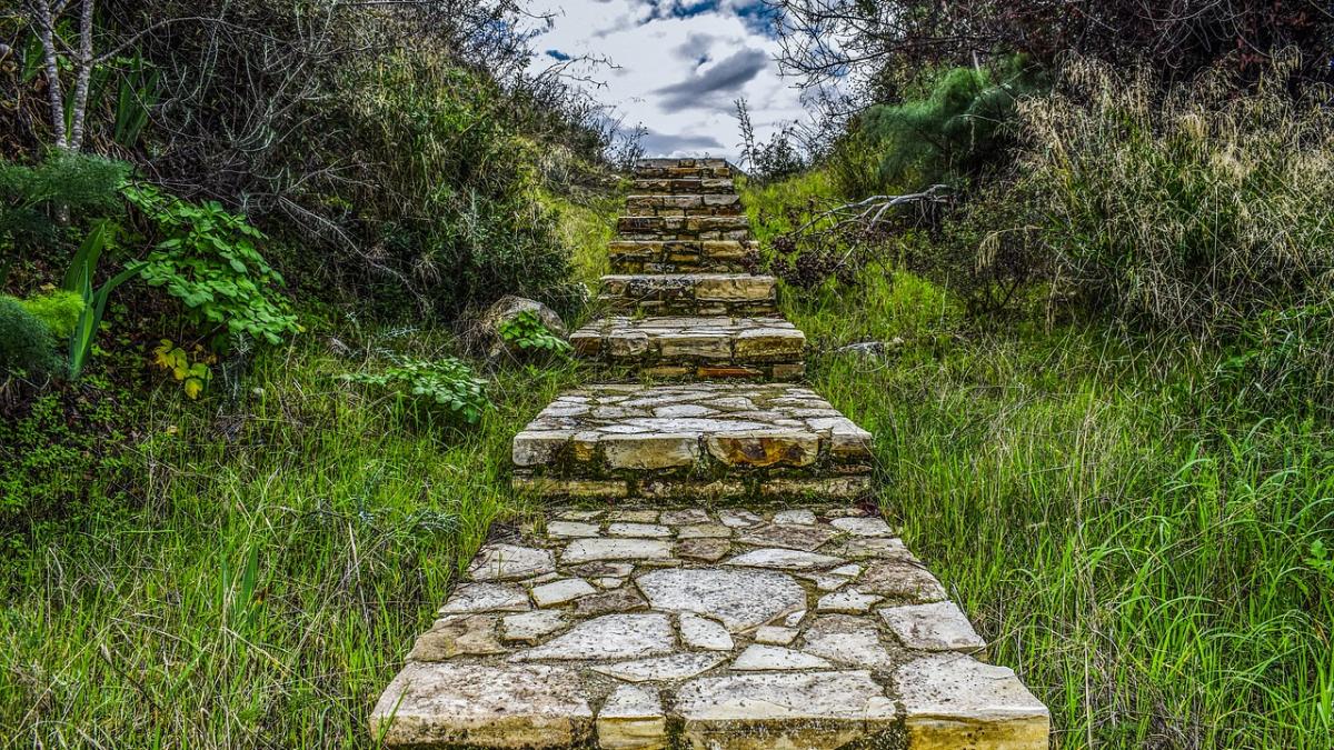 ii murisera parintii de ceva timp cand intr o noapte i a visat tatal meu se gasea intr o gradina