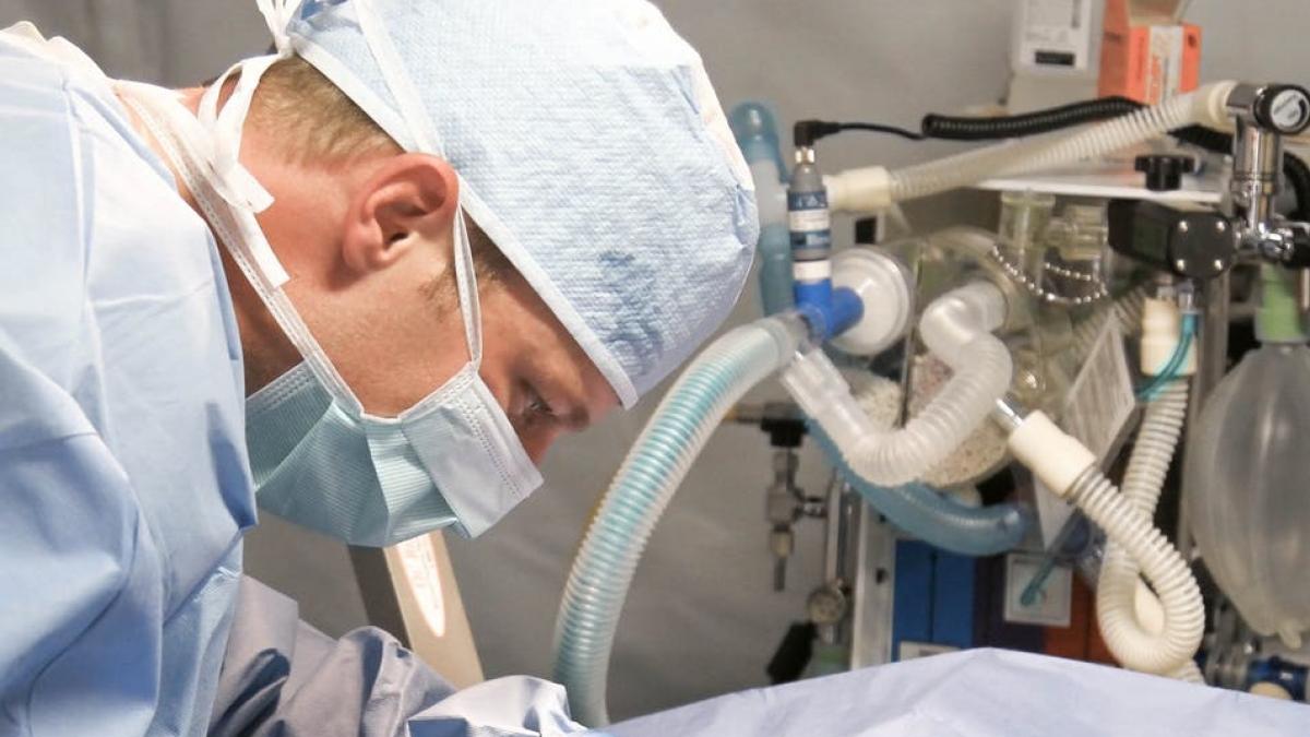 un chirurg risca ani de inchisoare fiindca a mintit in cv pentru a obtine un loc de munca bine