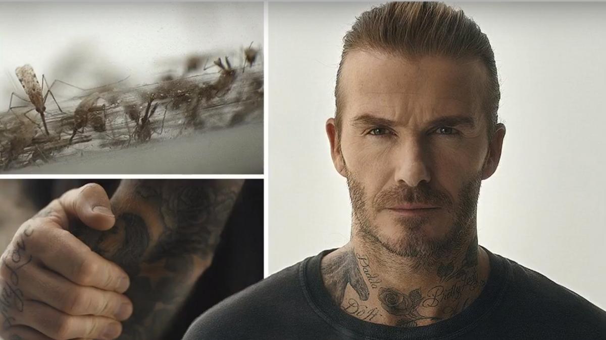 motivul pentru care david beckham s a lasat inconjurat de mii de tantari video