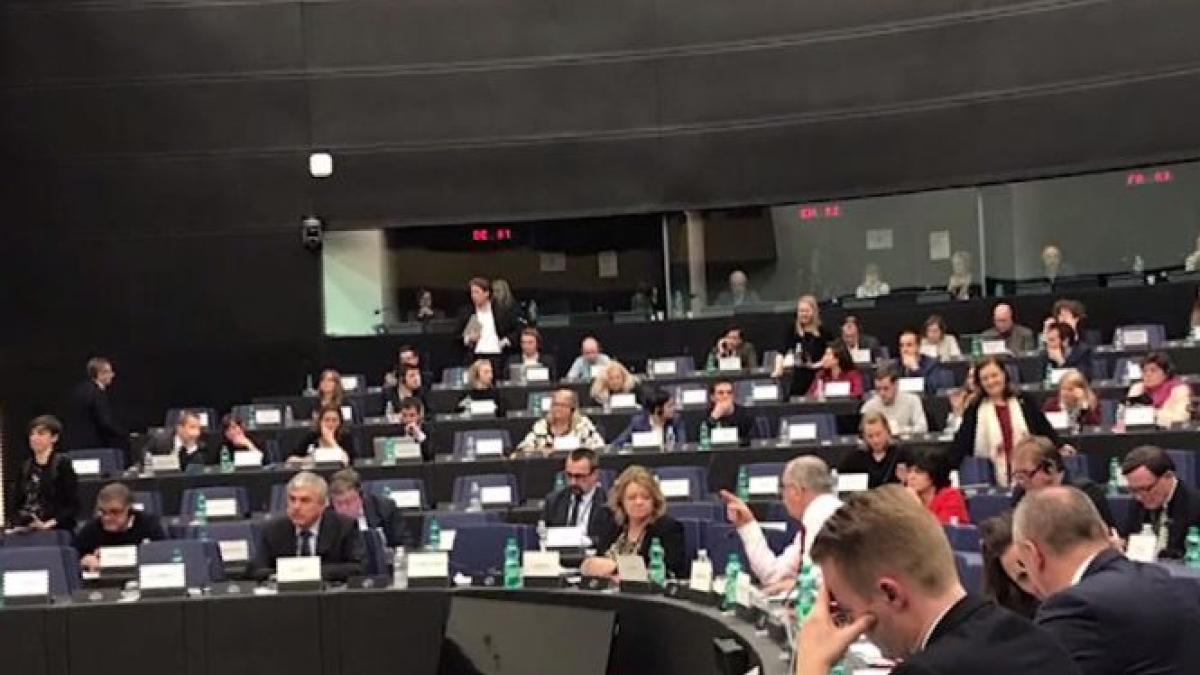 scandal urias pe tema justitiei din romania tudorel toader interzis la parlamentul european