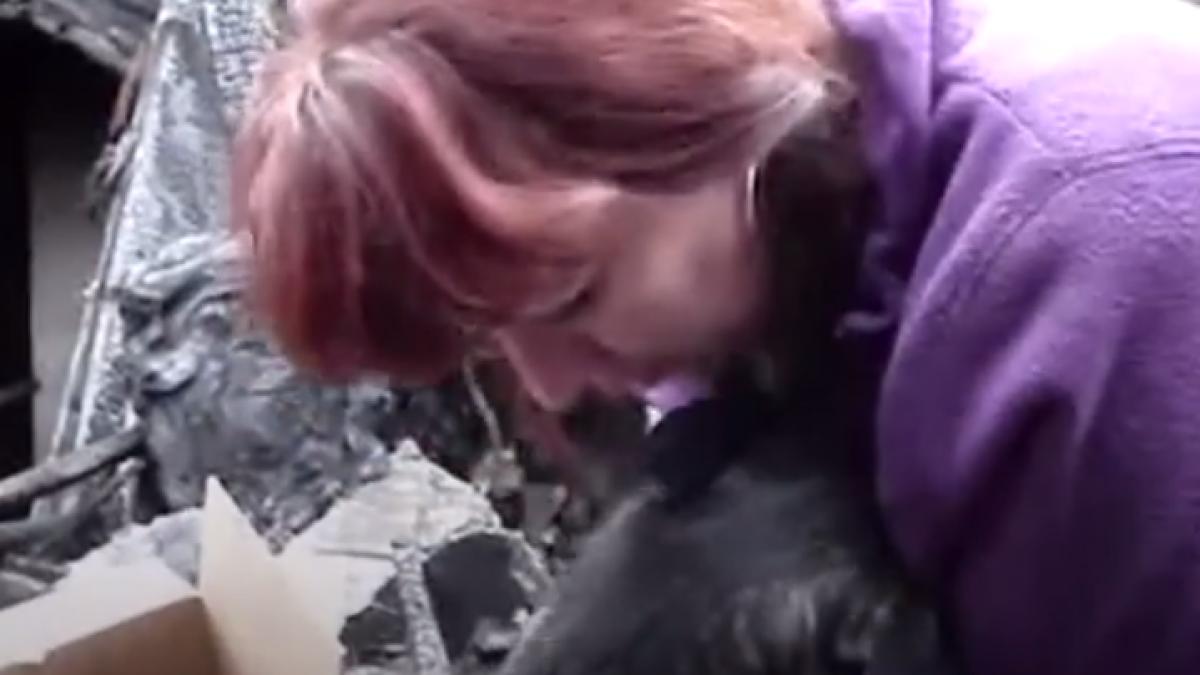 casa lor a ars in totalitate asa ca au venit sa vada daca mai pot salva ceva din daramaturi catelul