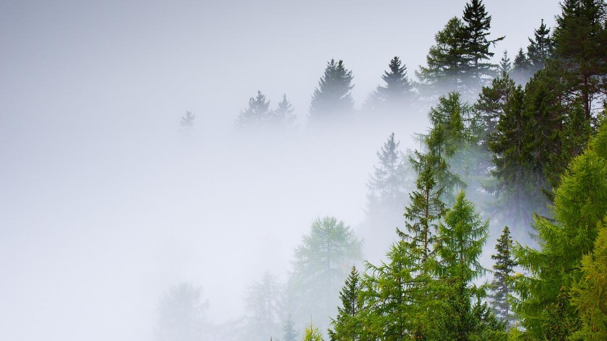 locul unic din romania unde nu exista bacterii sau microorganisme