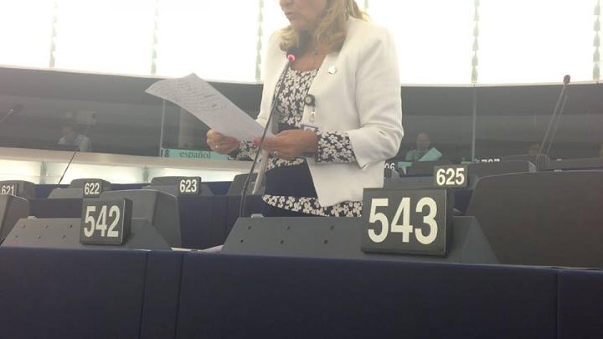 maria grapini solicita ce o reactie rapida pentru reglementarea domeniului stirilor false comisia i