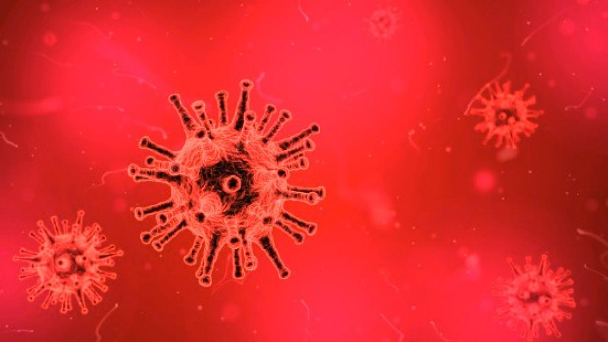 o echipa de cercetatori ar fi descoperit de ce apare cancerul