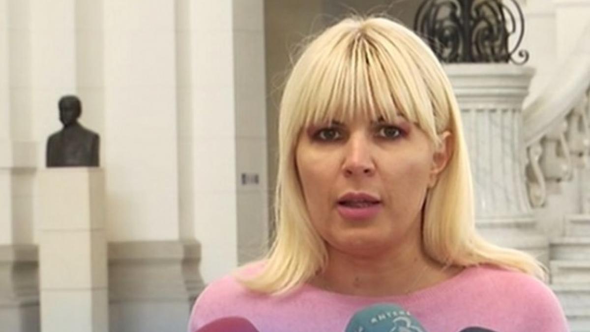elena udrea in urma cu cateva zile nu fug din tara raman sa lupt