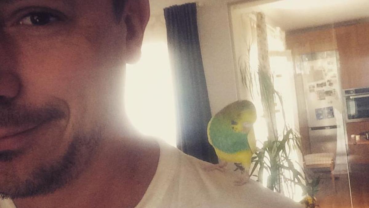 un prezentator tv grav bolnav vreau o scurtatura