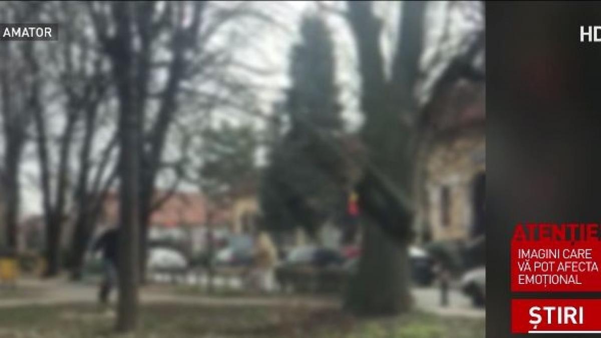 femeie atacata de maidanezi langa o scoala imagini surprinse in momentul incidentului