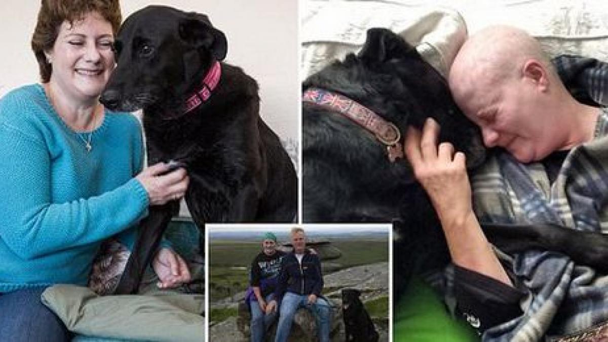 catelusa sa a fost diagnosticata cu cancer iar femeia nu stia ce sa faca sa i prelungeasca viata