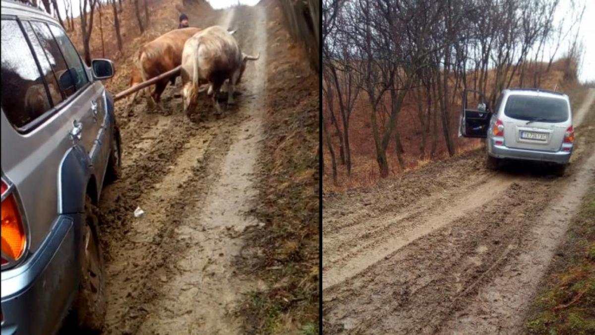 imagini inedite in romania jepp cu doi boi putere video