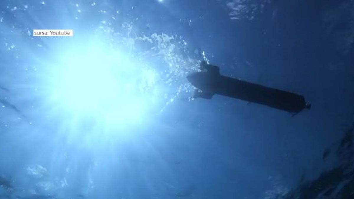 incredibil s a pierdut vasilica