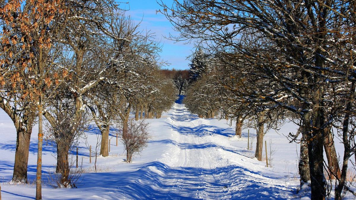 vremea rea se intoarce cand incep ninsorile
