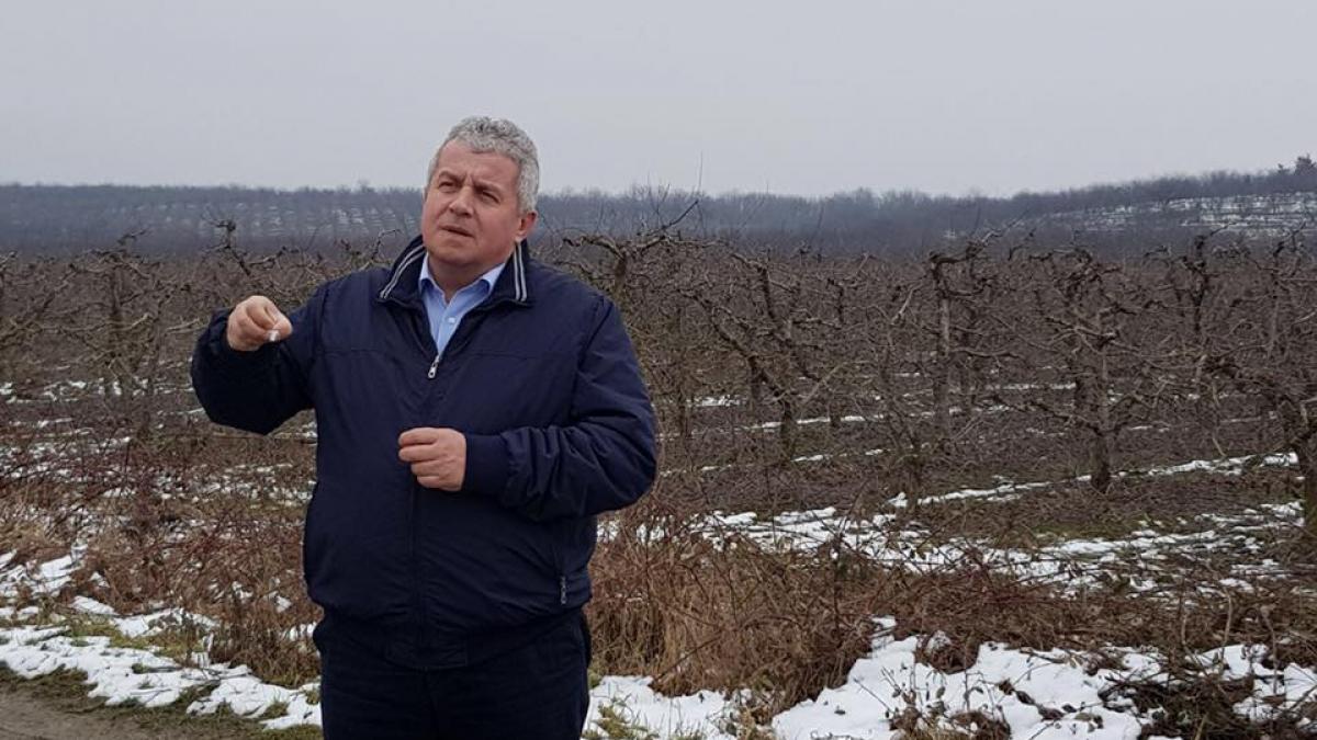 mesajul de alarma tras de un europarlamentar roman 40 dintre terenurile agricole sunt in detinute