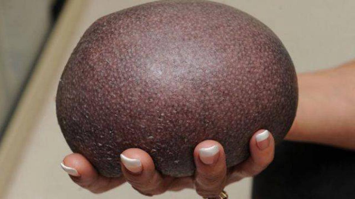 se plimba prin imprejurimi cand a observat o piatra ciudata a ridicat o si a fost cat pe ce sa o