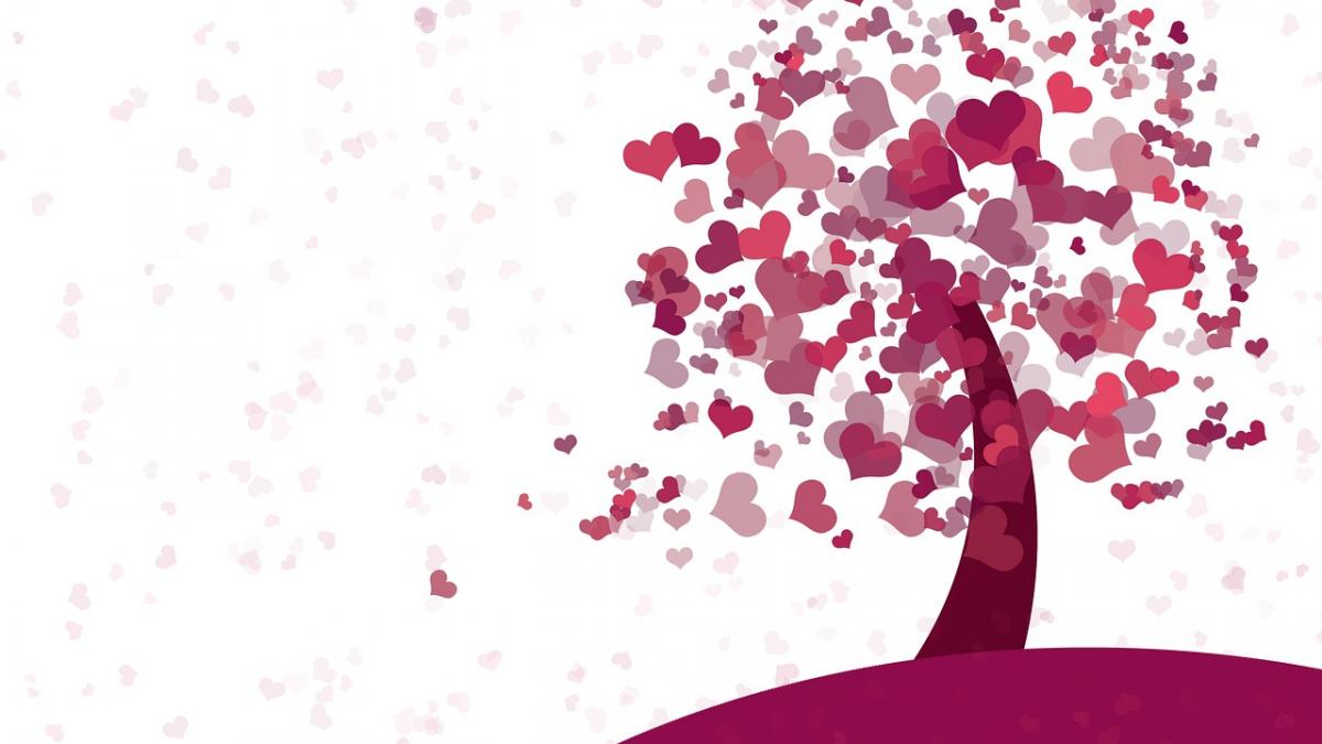 valentine s day 2018 surpriza majora de valentine s day 2018