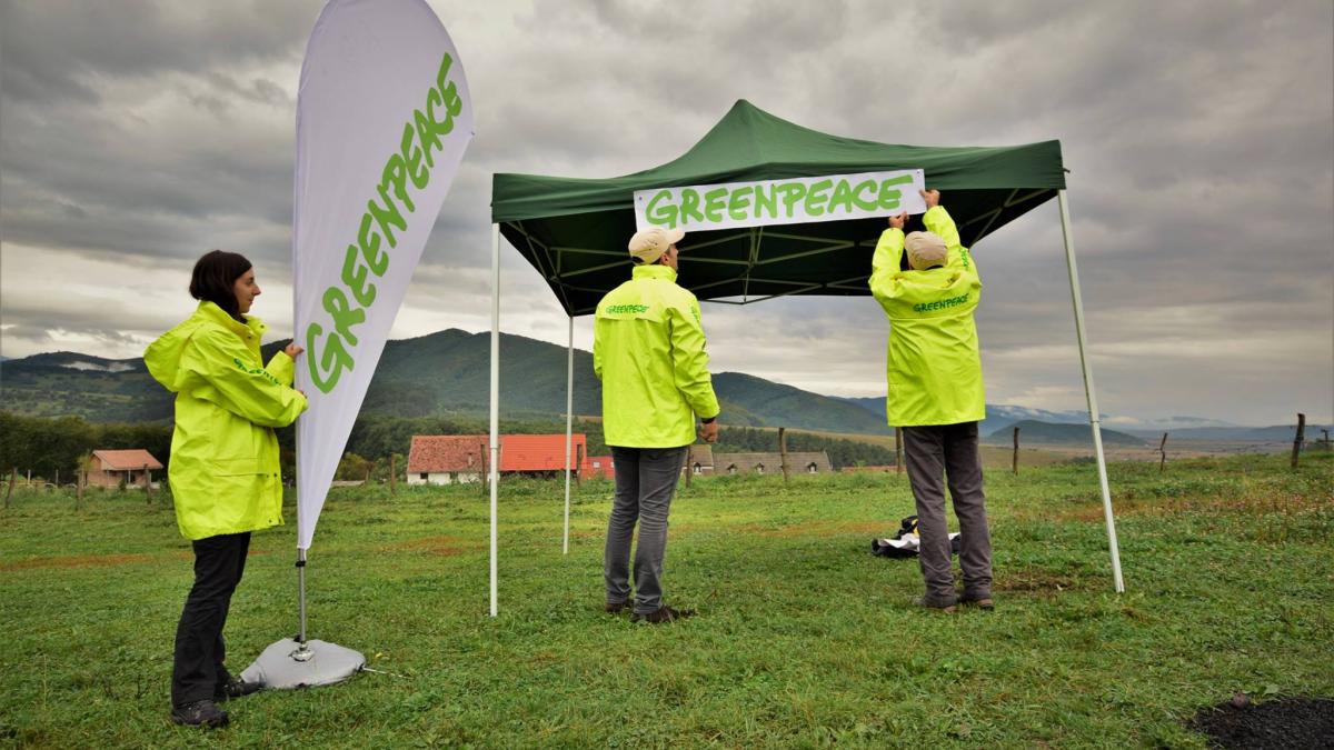 greenpeace romania reactie la declaratiile ministrului energiei sa consideri ca un subiect