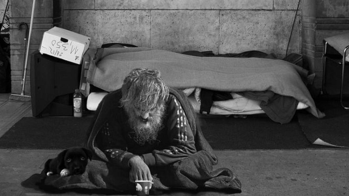 un cersetor prins de politie avea in buzunar suficienti bani sa isi cumpere o casa