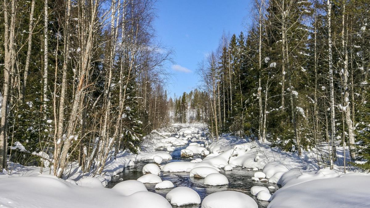 un barbat descoperit inghetat pe marginea unui drum