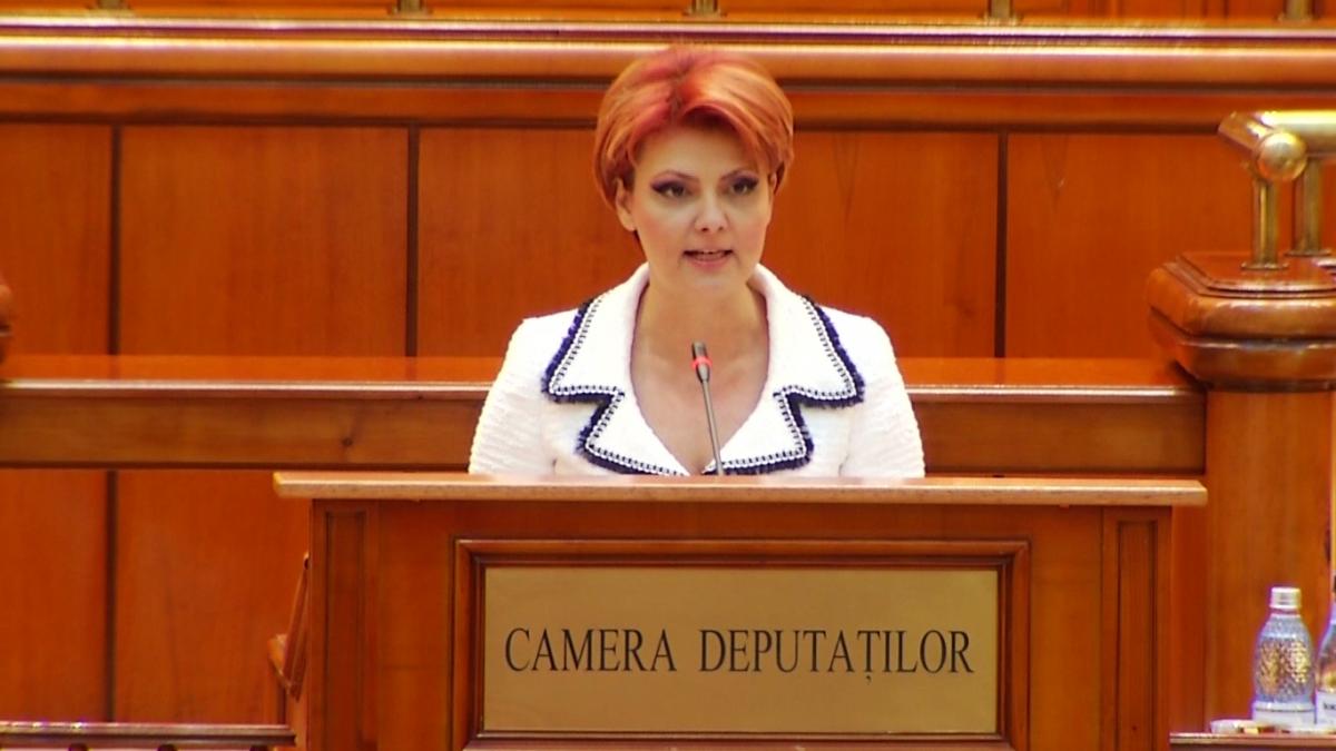camera deputatilor dezbate motiunea simpla a pnl impotriva ministrului muncii olguta vasilescu ati