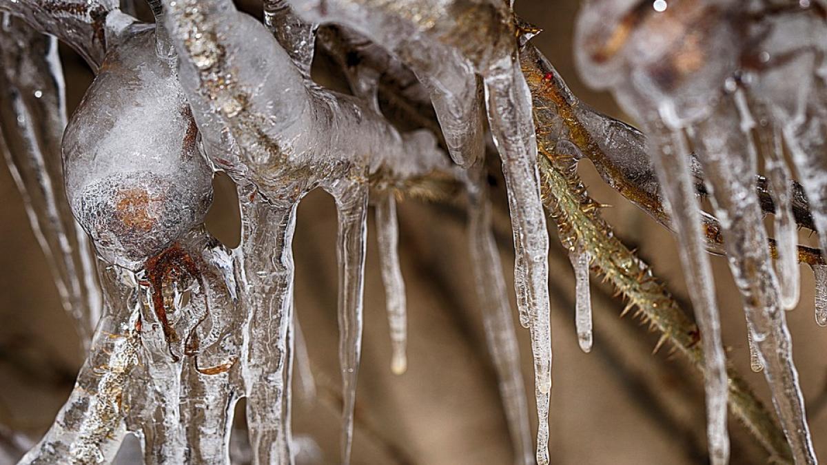 vesti proaste de la meteorologi prognoza meteo pentru urmatoarele doua saptamani