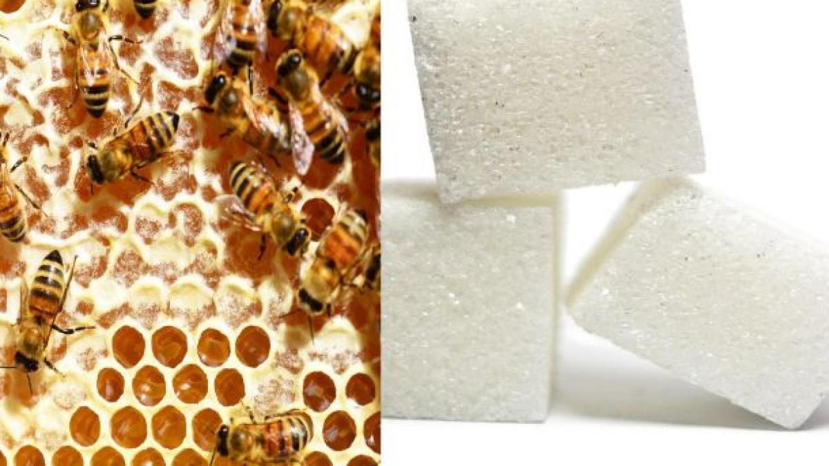 aceasta este marea diferenta dintre miere si zahar