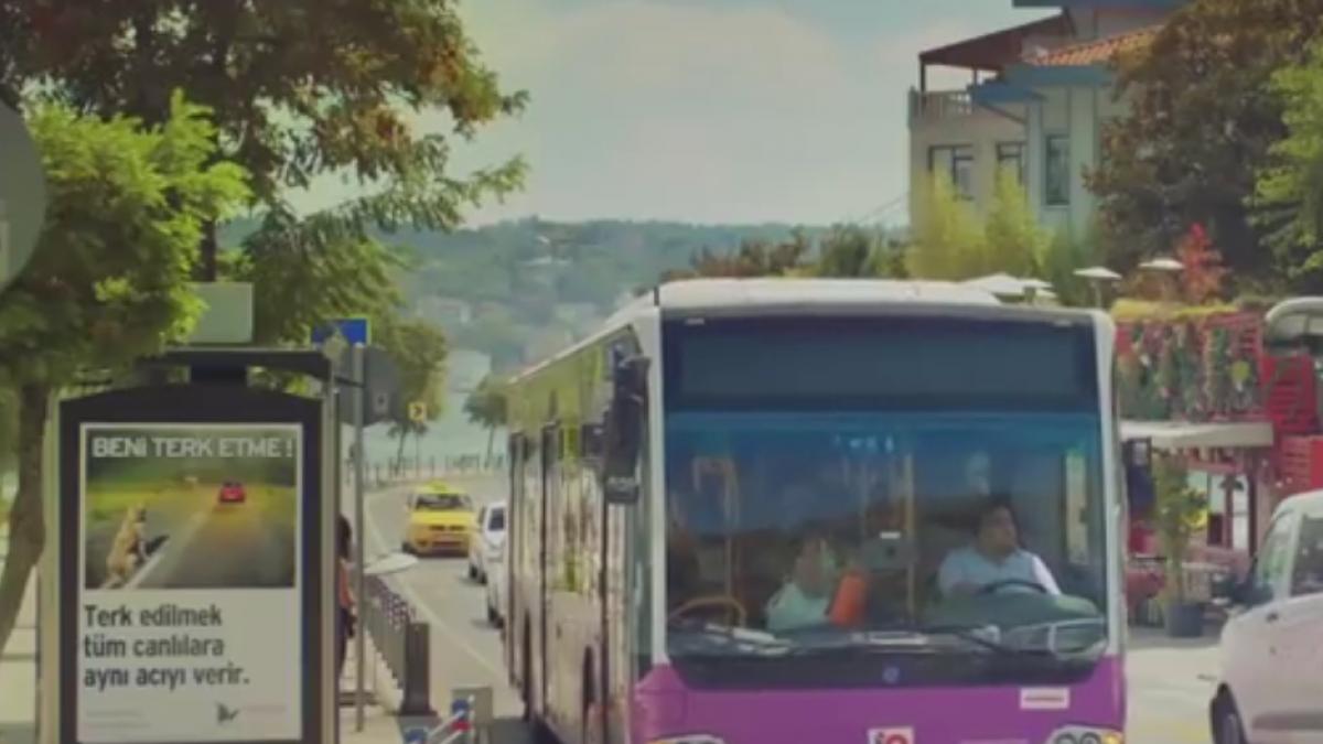 autobuzul turcesc care a devenit viral pe youtube ce se intampla cand soferul pune o frana brusca