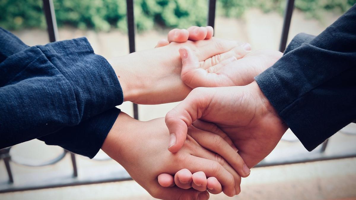 ele sunt cele mai loiale zodii se dedica in totalitate familiei