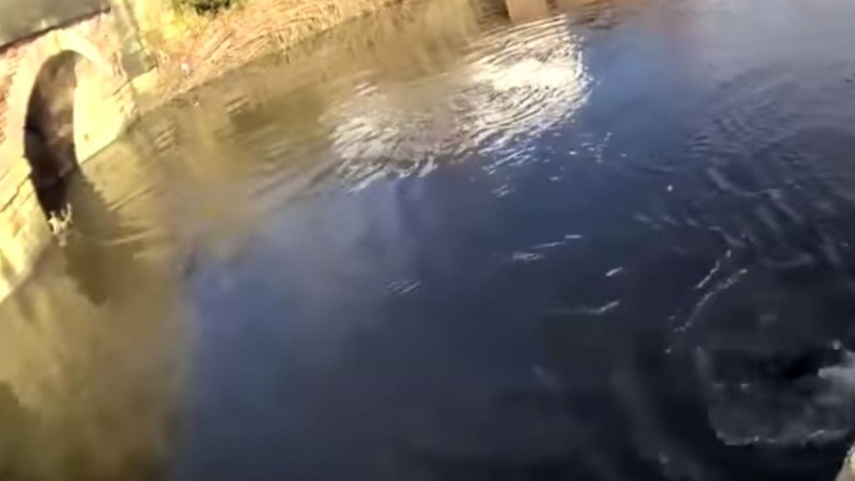 s a aruncat in apa inghetata ca sa salveze un barbat acest politist devenit erou intr un timp record