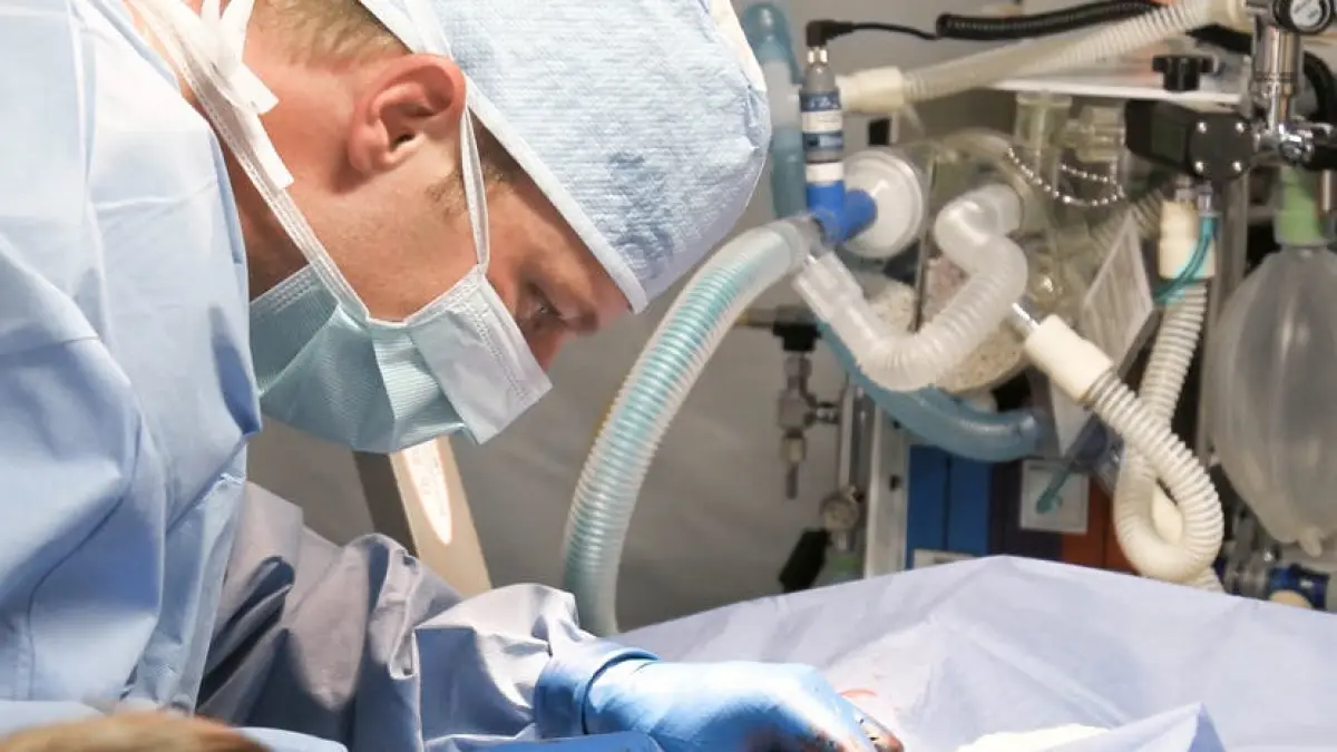 s a dus la spital sa faca o interventie chirurgicala ce au descoperit medicii in corpul unei femei