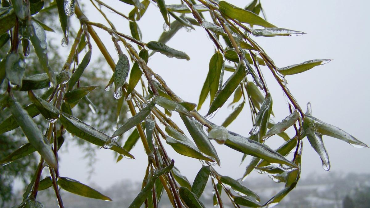 vremea rea se intoarce prognoza meteo pentru urmatoarele zile