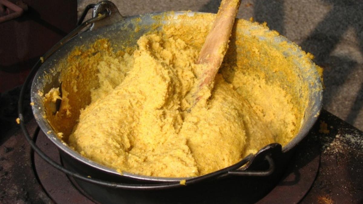 de ce sustin cercetatorii endocrinologi ca mamaliga este elixirul vietii