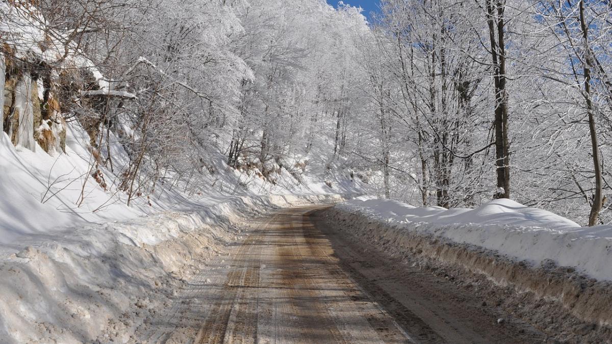 gerul face opt victime in polonia