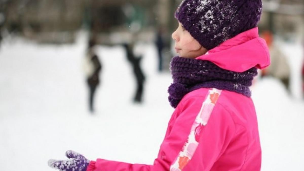 mai multe scoli inchise din cauza ninsorilor judetele unde cursurile au fost suspendate