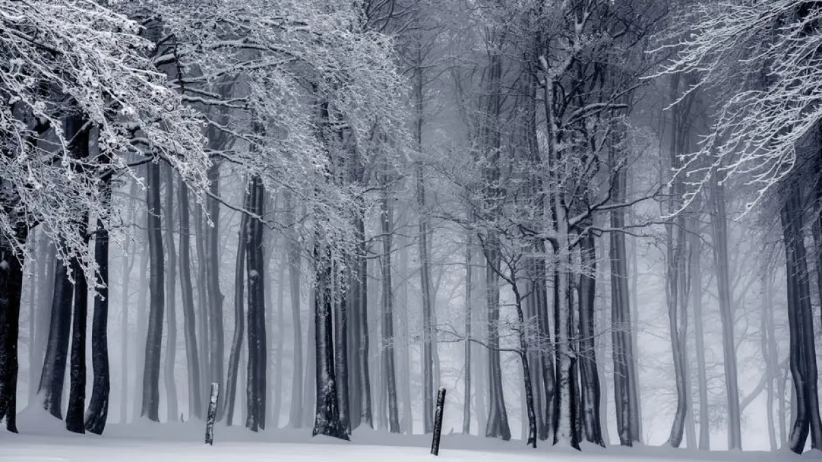temperaturi negative istorice in mai multe zone zeci de drumuri judetene au fost inchise