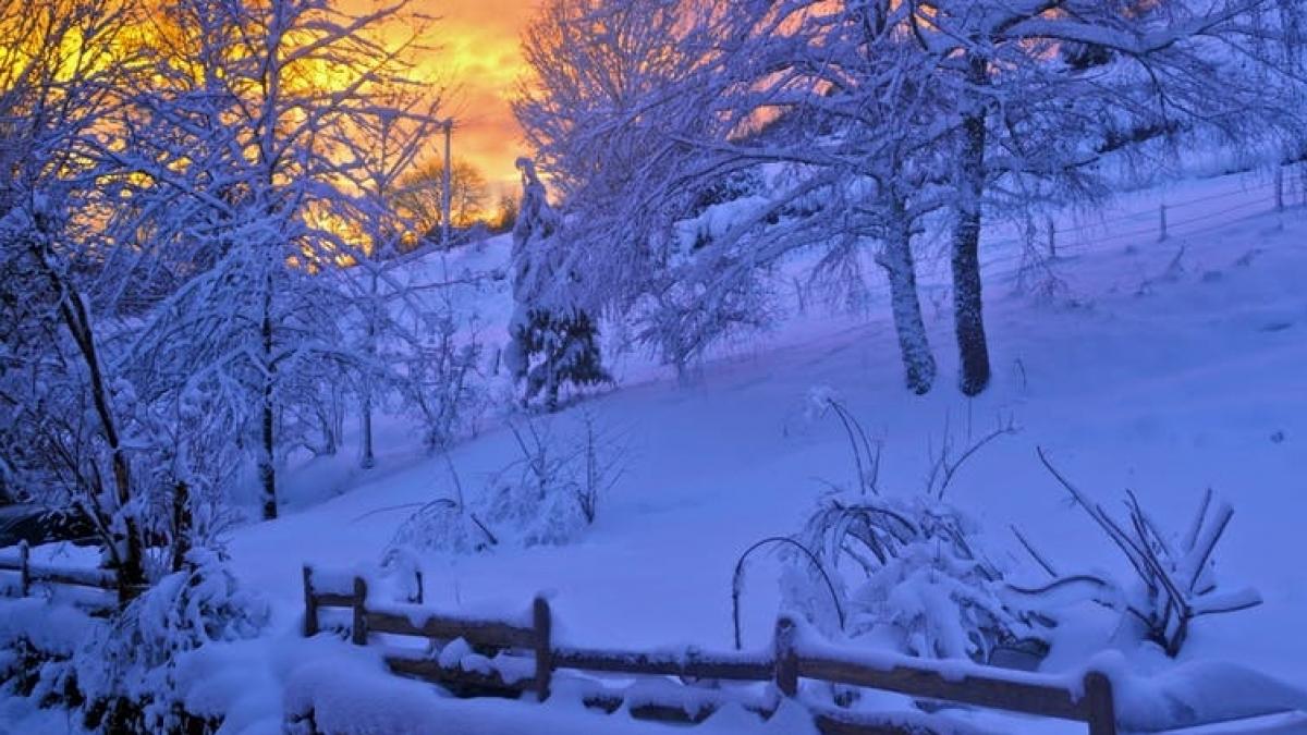 temperaturile extreme au facut prima victima un barbat de 65 de ani a murit de frig