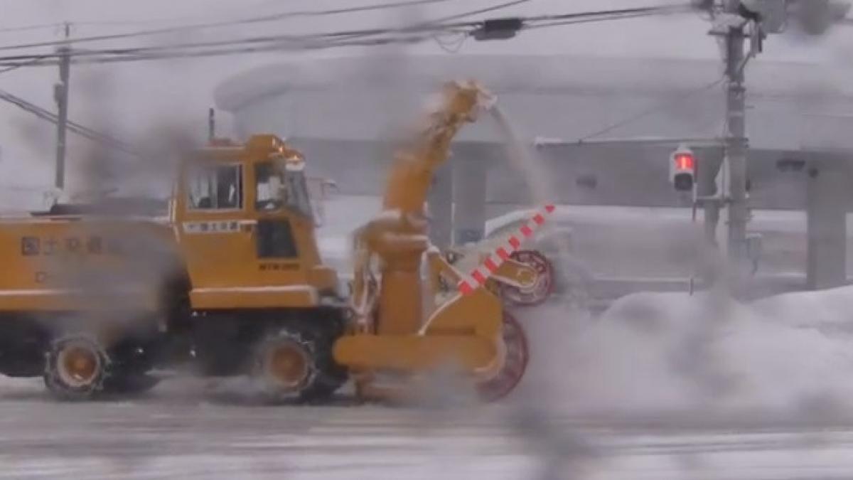 cum se face deszapezirea in japonia video