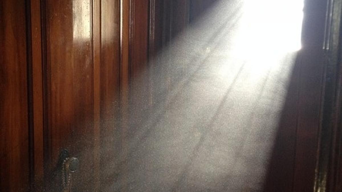 ce se intampla in creierul uman in ultimele minute de dinainte de moarte