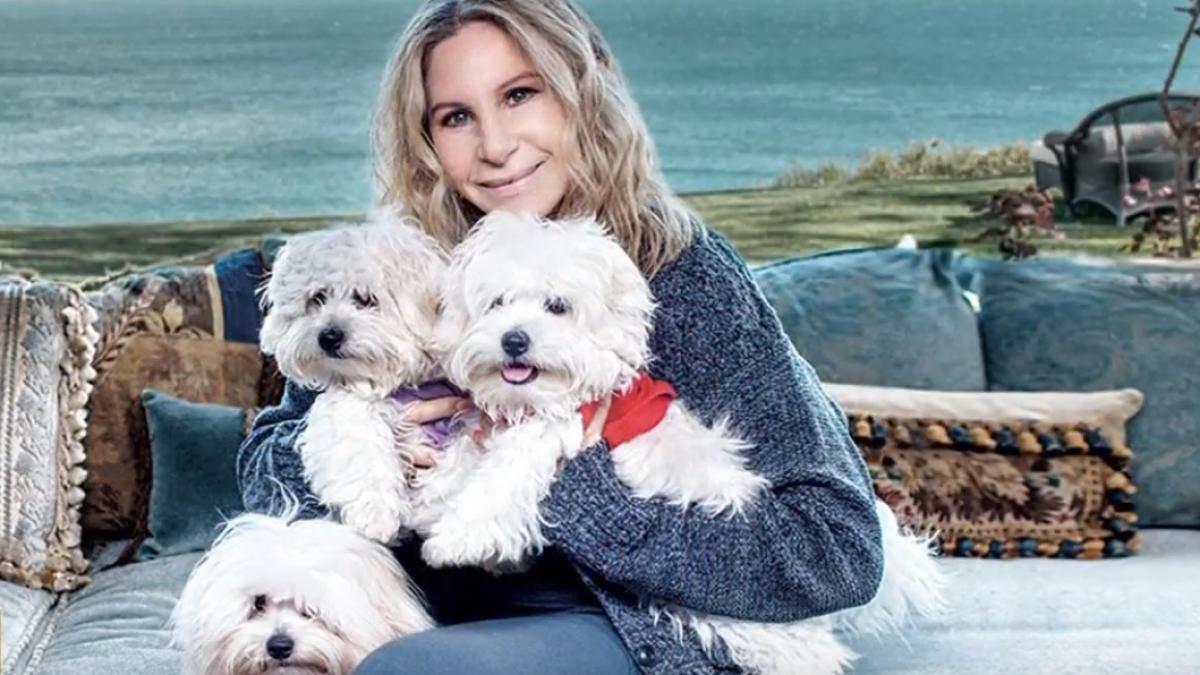 motivul pentru care o cunoscuta artista si a clonat cainele de doua ori