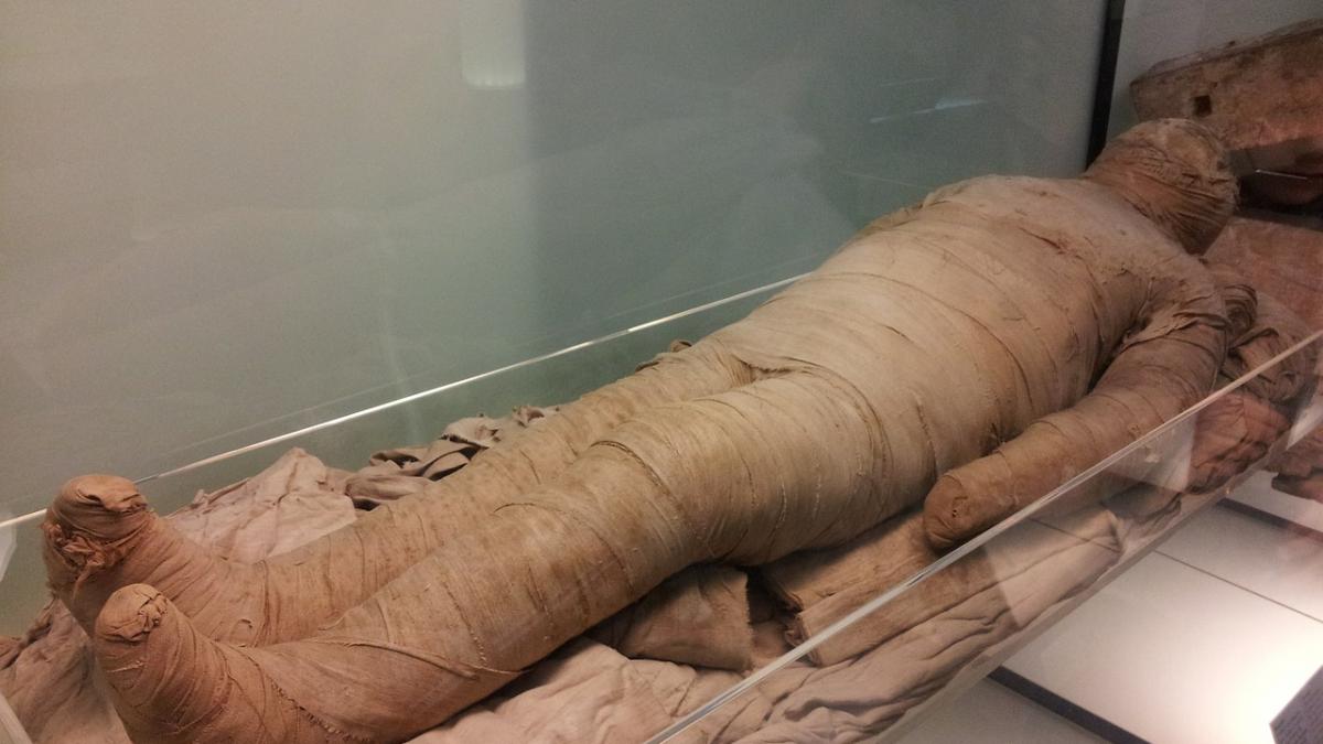 descoperire facuta pe doua mumii din egiptul antic expuse la british museum din londra