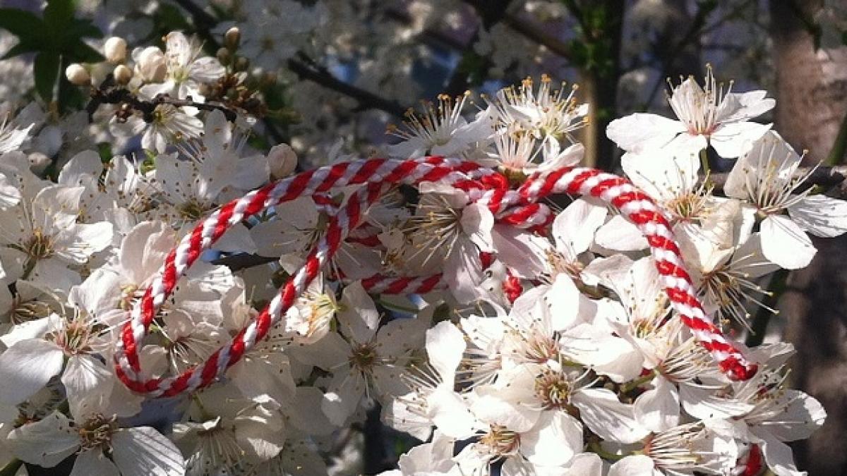 regiunea din romania unde barbatii primesc martisoare de la femei de 1 martie