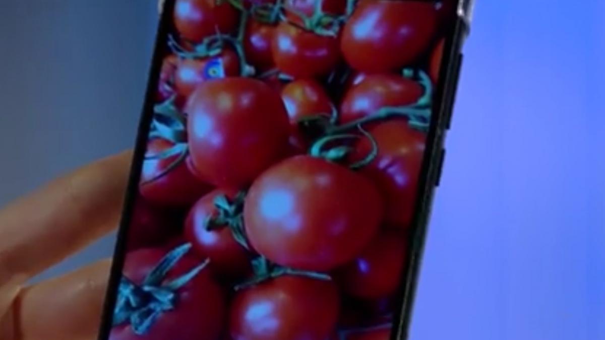 24it telefon pentru pasionatii de macro si portrete