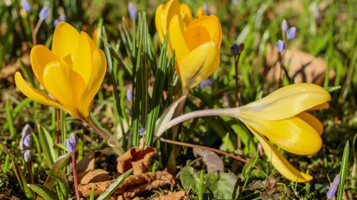 prognoza meteo cum va fi vremea la inceputul saptamanii de cand se incalzeste