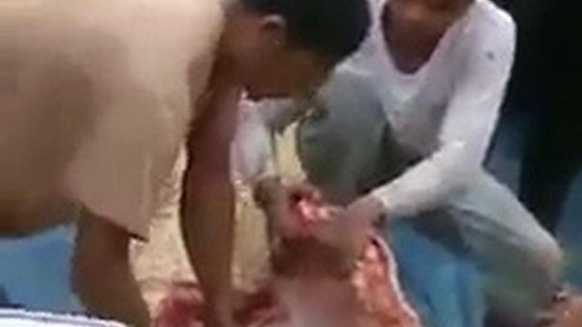 au taiat burta unui crocodil de sase metri si au ramas de a dreptul socati de ce au gasit acolo